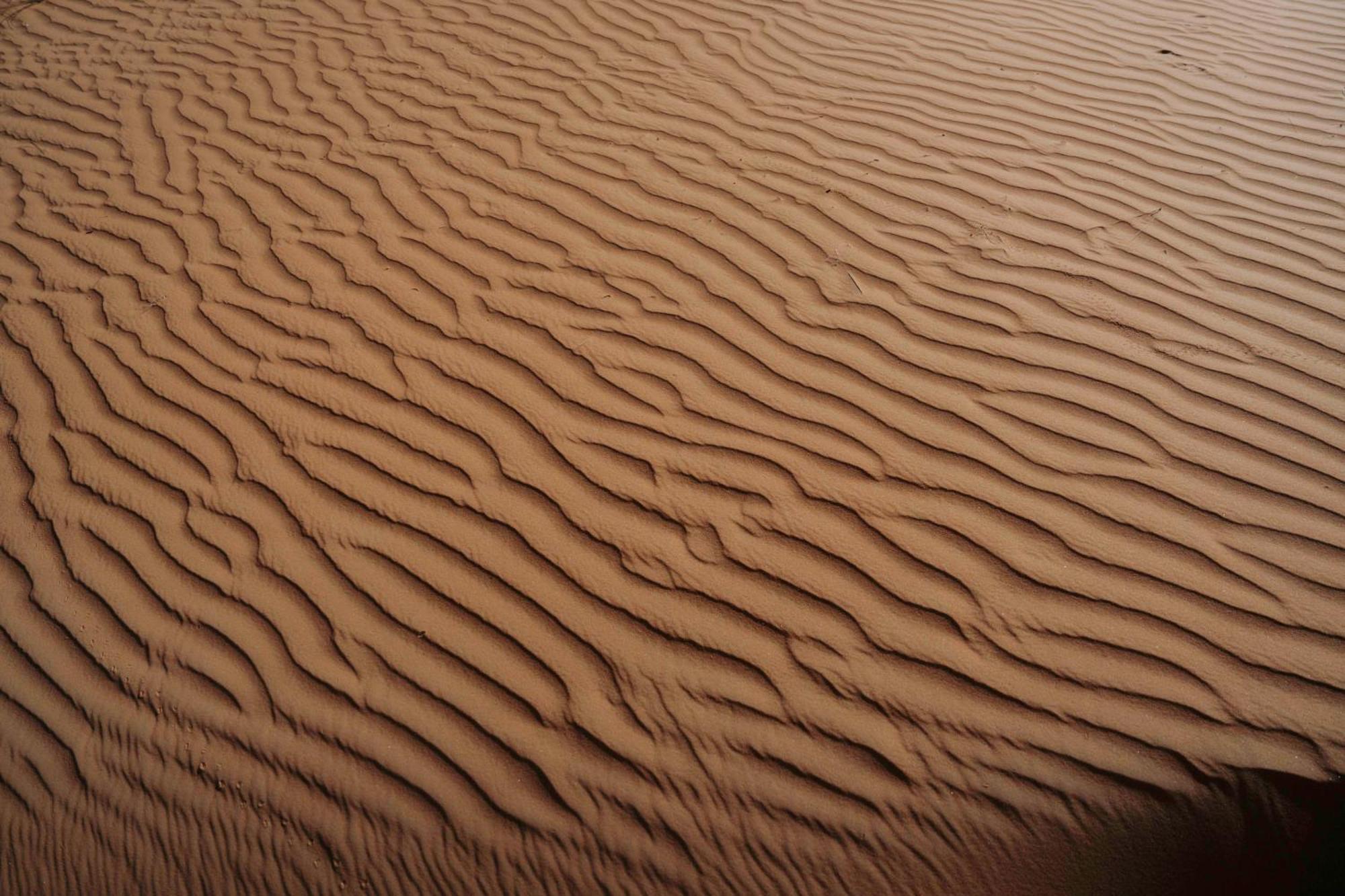 Silent Dunes Camp Ḩawīyah Exteriör bild